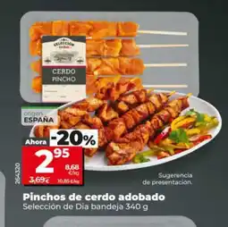 Maxi Dia Pinchos de cerdo adobado oferta