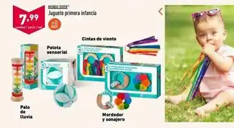 ALDI 7,99 mundo diver juguete primera infancia +0 unidad/pack/set anos cintas de viento pelota sensorial palo de lluvia mor oferta