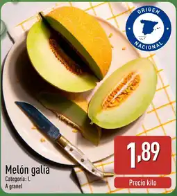 ALDI Melón galia oferta