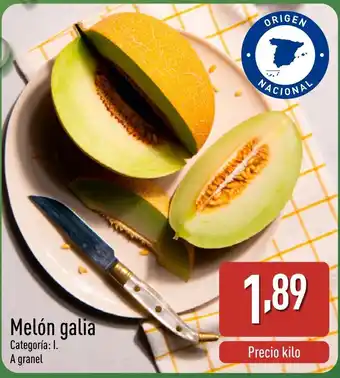 ALDI Melón galia oferta