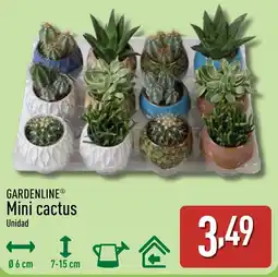 ALDI GARDENLINE Mini cactus oferta