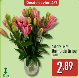 ALDI GARDENLINE Ramo de lirios oferta