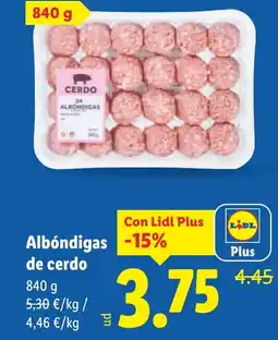 Lidl Albóndigas de cerdo oferta