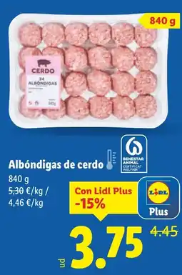 Lidl Albóndigas de cerdo oferta