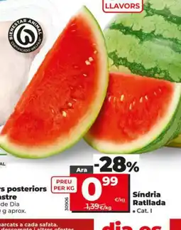 Dia Sindria Ratllada oferta