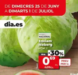 Dia Enciam Iceberg oferta