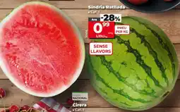 Dia Sandria Ratllada oferta