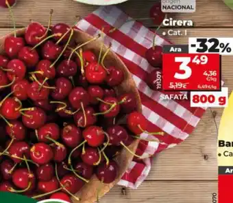 Dia Cirera oferta