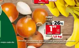 Dia Ceba oferta