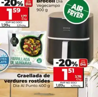 Dia Graellada de verdures rostides oferta