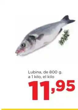 Alimerka Lubina oferta