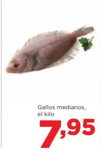 Alimerka Gallos medianos oferta