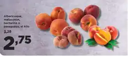 Alimerka Albaricoque, melocotón, nectarina o paraguayo oferta