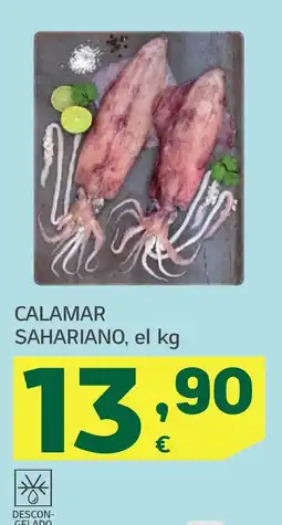 HiperDino Calamar sahariano oferta