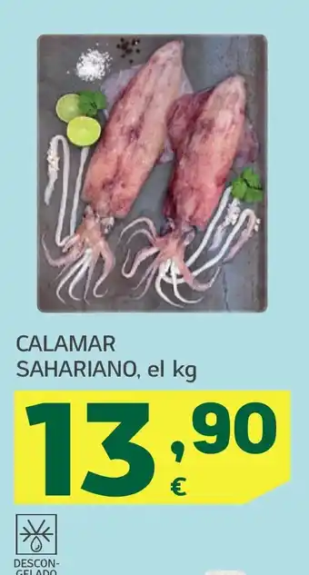 HiperDino Calamar sahariano oferta