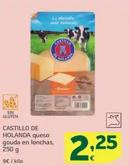 HiperDino CASTILLO DE HOLANDA queso gouda en lonchas oferta