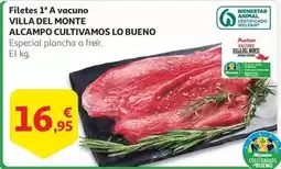Alcampo Alcampo - villa del monte alcampo cultivamos lo bueno oferta