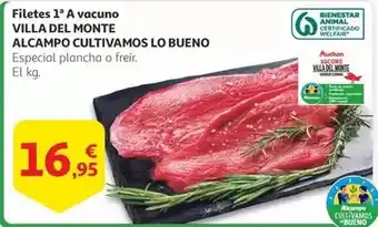 Alcampo Alcampo - villa del monte alcampo cultivamos lo bueno oferta