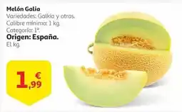 Alcampo Origen - melón galia oferta