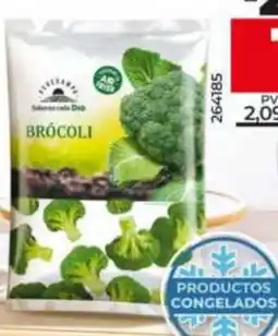 Maxi Dia Brócoli oferta