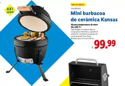 Lidl Mini barbacoa de cerámica Kansas oferta