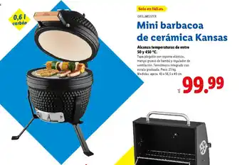 Lidl Mini barbacoa de cerámica Kansas oferta