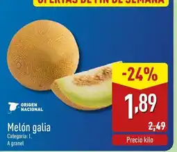 ALDI Melón galia oferta