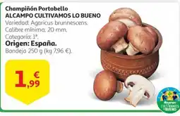Alcampo Champiñón Portobello oferta
