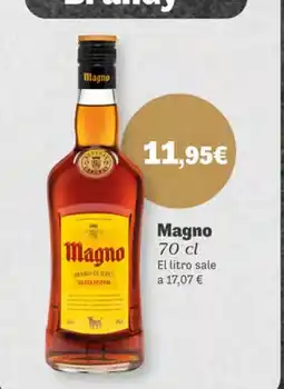Supermercados Plaza MAGNO oferta