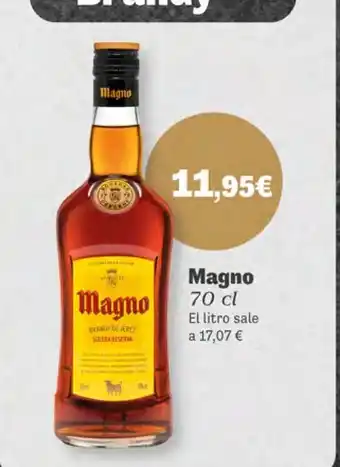 Supermercados Plaza MAGNO oferta
