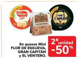 Carrefour Market FLOR DE ESGUEVA GRAN CAPITAn Y EL VENTERO En quesos Mini oferta