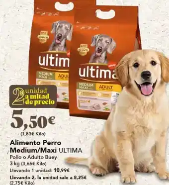 Gadis Última - alimento perro medium/maxi oferta