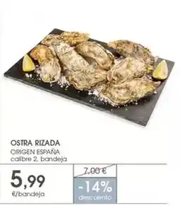 Supermercados Plaza Origen - ostra rizada oferta