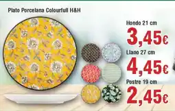 Hiper FROIZ Plato Porcelana Colourfull H&H oferta