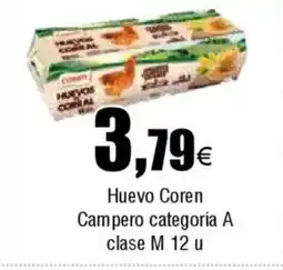 Cash FROIZ Huevo Coren Campero oferta