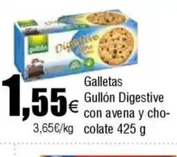 Cash FROIZ Galletas Gullón Digestive con avena y cho-colate oferta