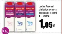 Cash FROIZ Leche Pascual sin lactosa entera, desnatada o semi oferta