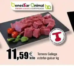 Cash FROIZ Ternera Gallega estofar-guisar oferta