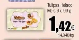 Cash FROIZ Tulipas Helado Mels oferta