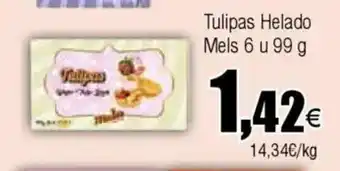 Cash FROIZ Tulipas Helado Mels oferta