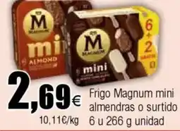 Cash FROIZ Frigo Magnum mini almendras o surtido oferta