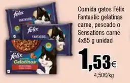 Cash FROIZ Comida gatos Félix Fantastic gelatinas carne, pescado o Sensations carne oferta