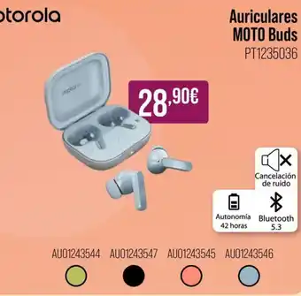 MR Micro MOTOROLA Auriculares MOTO Buds oferta