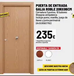Brico Depôt Puerta de entrada galia roble oferta