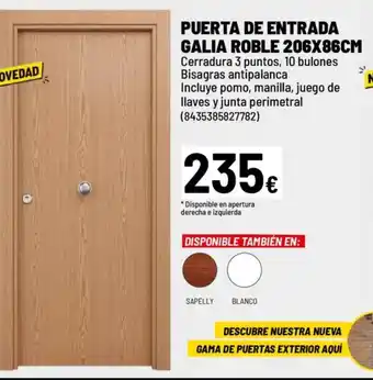 Brico Depôt Puerta de entrada galia roble oferta