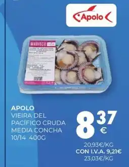 CashDiplo APOLO Vieira del pacífico cruda media concha oferta