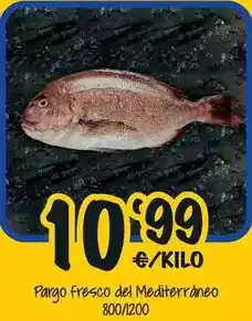 Cash Fresh Pargo fresco del mediterráneo oferta