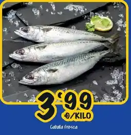 Cash Fresh Caballa fresca oferta