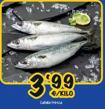 Cash Fresh Caballa fresca oferta