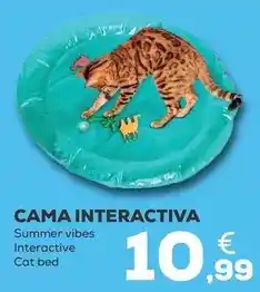 Kiwoko Summer vibes - cama interactiva oferta